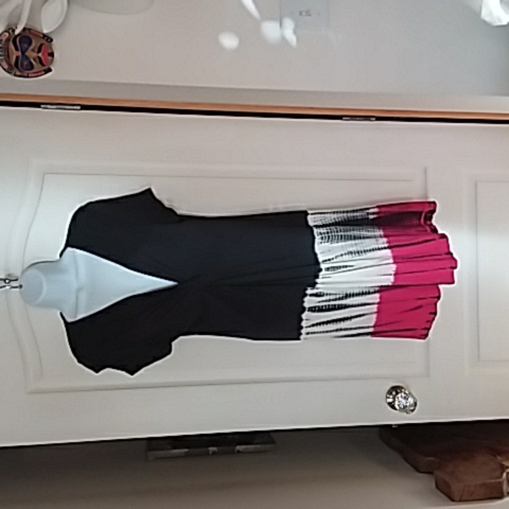 Buffalo David Bitton dress